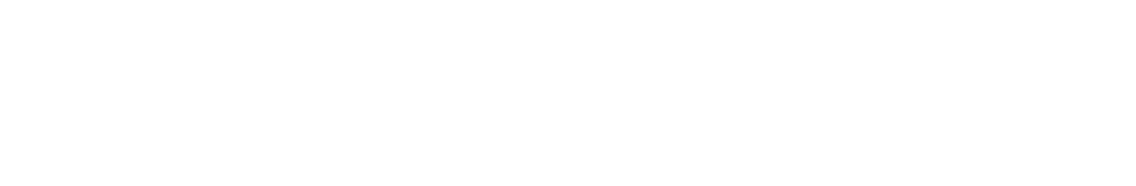 noventic Logo noventic Logo